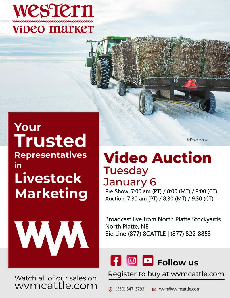 January 6, 2026 - North Platte Stockyards | North Platte, NE