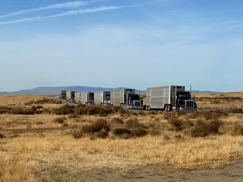 May 1, 2026 - Paso Robles Inn | Paso Robles, CA