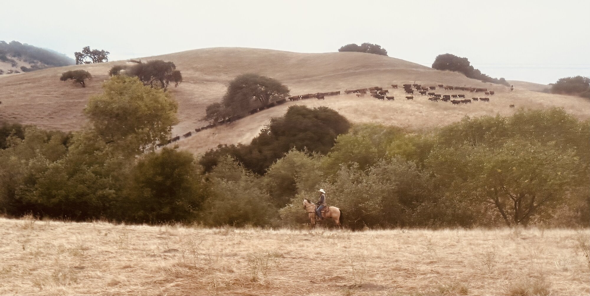 June 12, 2026 - WVM Headquarters | Cottonwood, CA