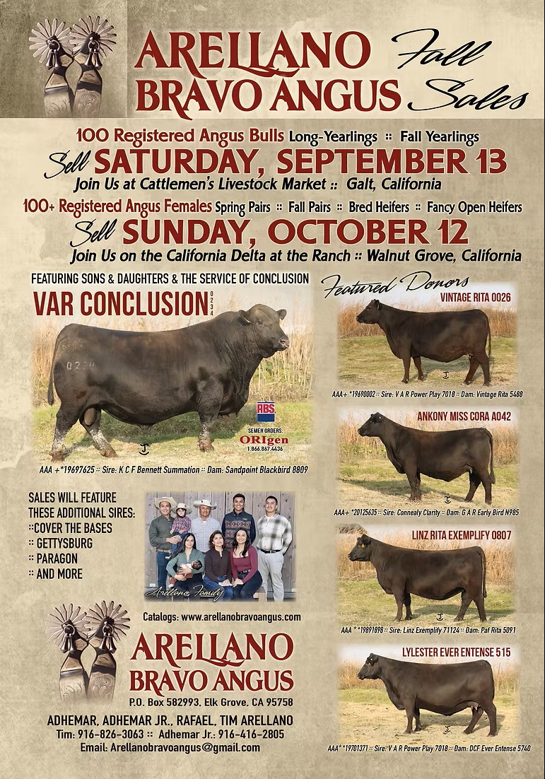 September 13, 2025 - Cattlemen's Livestock Market | Galt, CA
