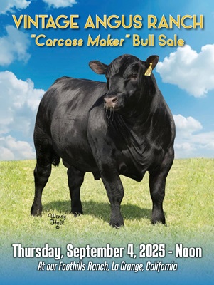 September 4, 2025 - Foothills Ranch | La Grange, CA